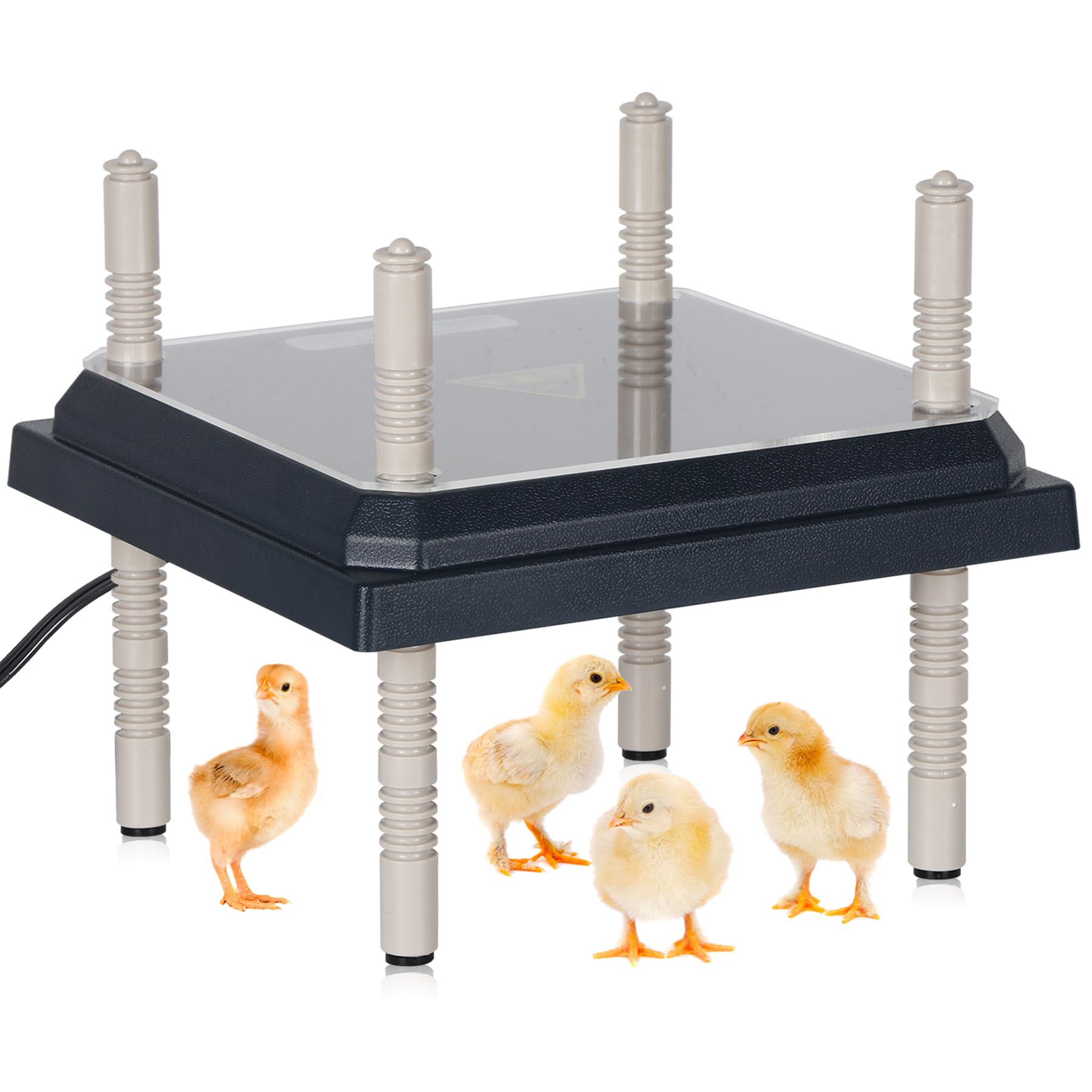 Toriexon Brooder Heater Plate 12â€? x 12â€?, HensLike Warmth Heat