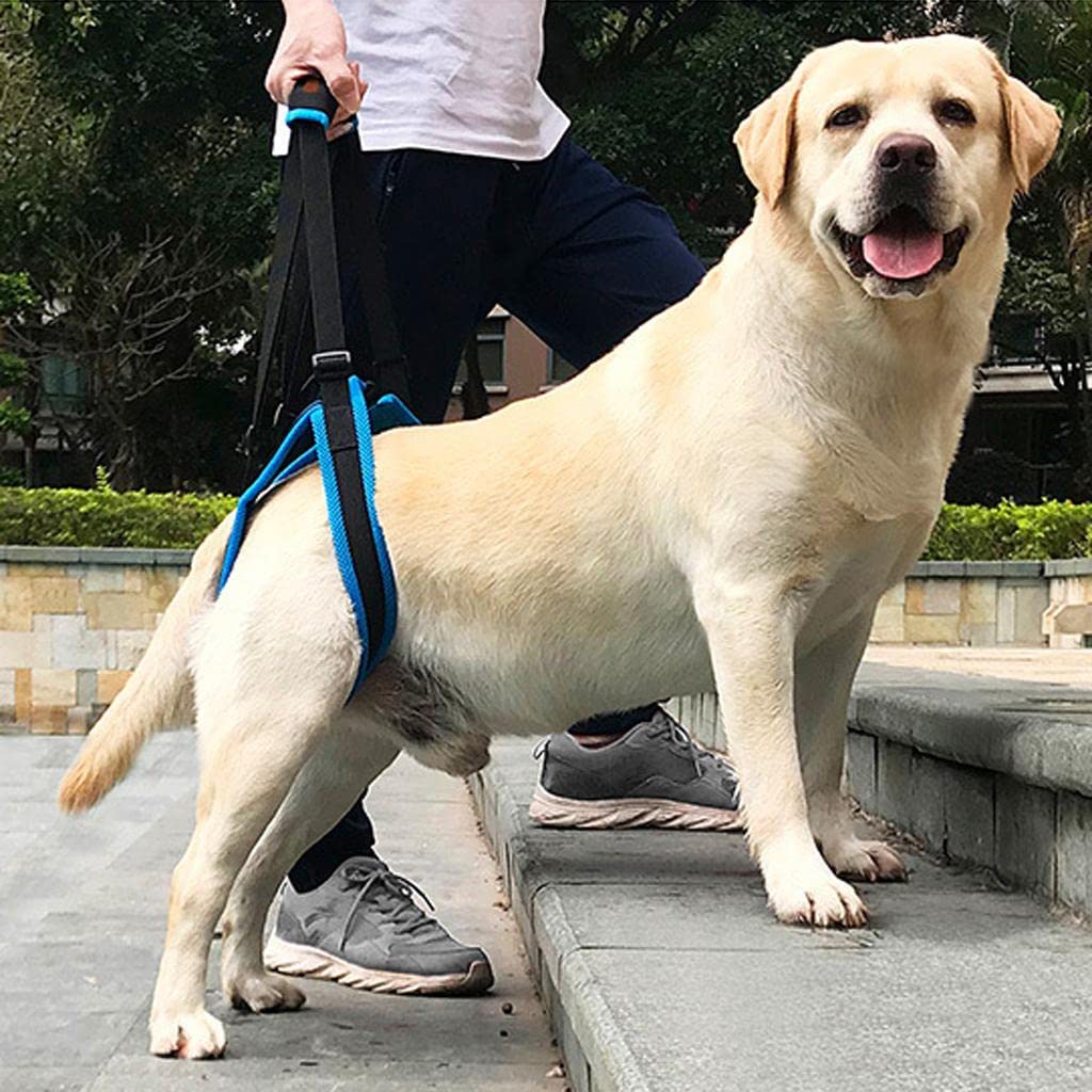 Enakshi Dog Hind Leg Auxiliary Belt Lift Harness Mobility Aid Support Harness XL |Pet Supplies | Dog Supplies | Harnesses (B0BP1KBZHD) Amazon Price History, Amazon Price Tracker