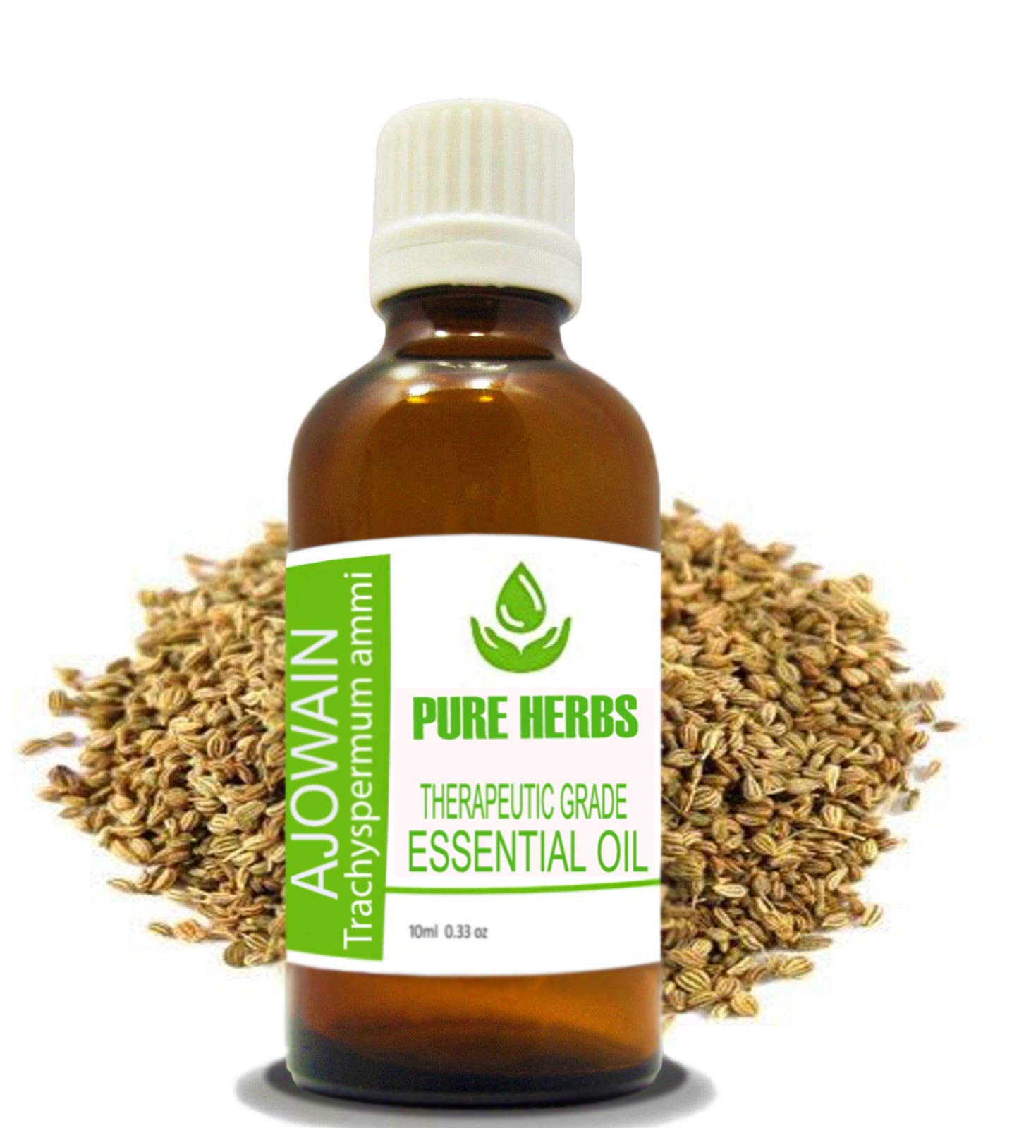 Pure Herbs Ajowain (Trachyspermum ammi) Pure & Natural Therapeutic Grade Essential Oil 10ml