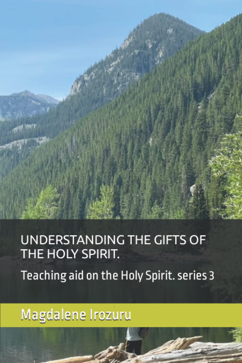 UNDERSTANDING THE GIFTS OF THE HOLY SPIRIT.: Teaching aid on the Holy Spirit. series 3 (Teaching aids series on UNDERSTANDING THE HOLY SPIRIT.)