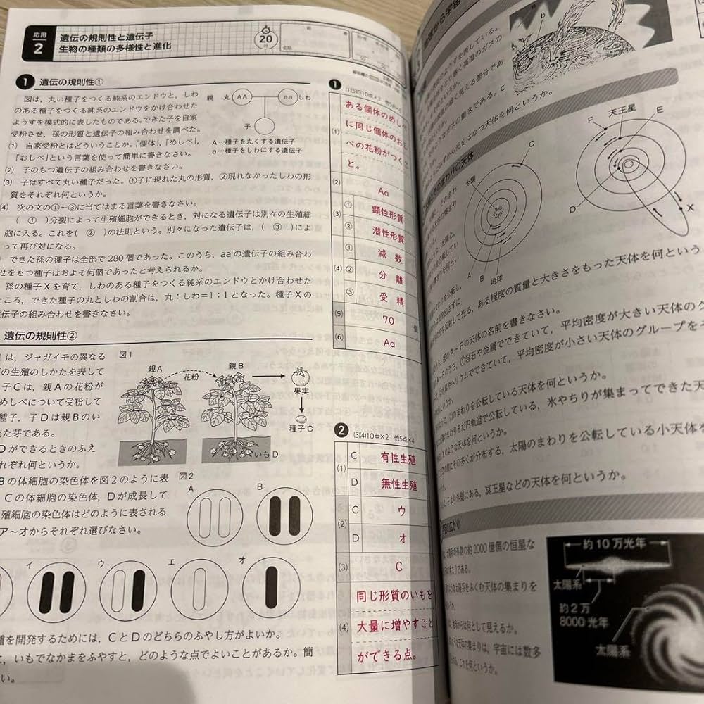 最新版　カラーテスト　テスト問題用紙　理科　3年　啓林館　正進社　小学3年生 小学3年 理科 カラーテスト答え 啓林館 - メルカリ