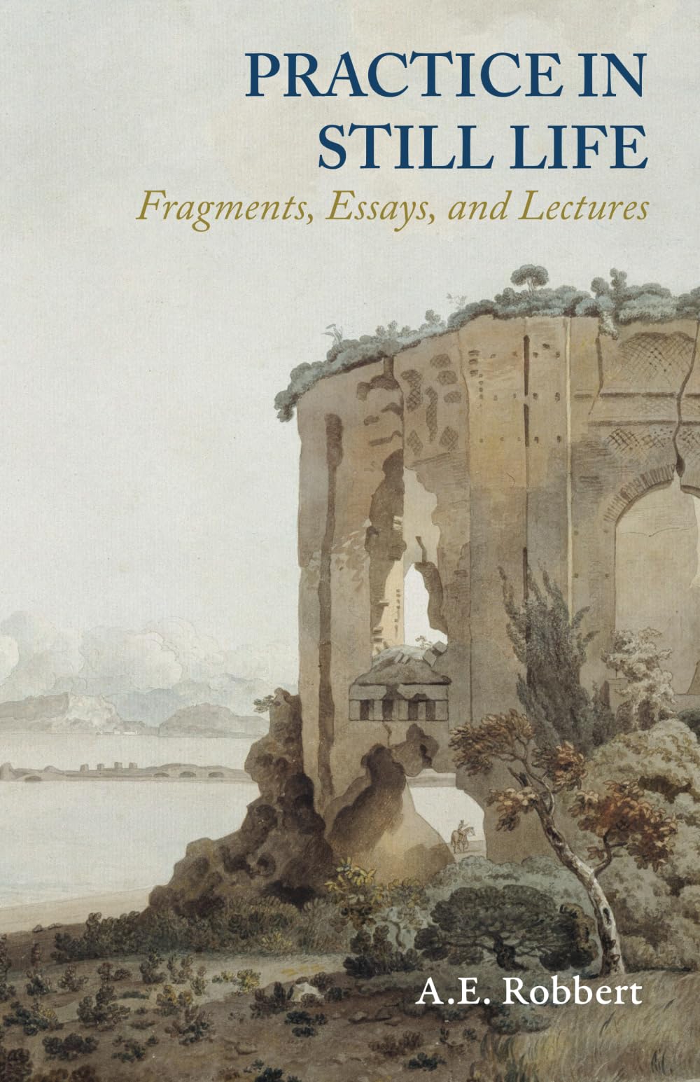Practice in Still Life: Fragments, Essays, and Lectures