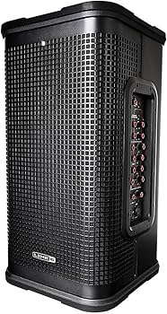 Amazon | Line 6 StageSource パワードスピーカー L2T | モニター