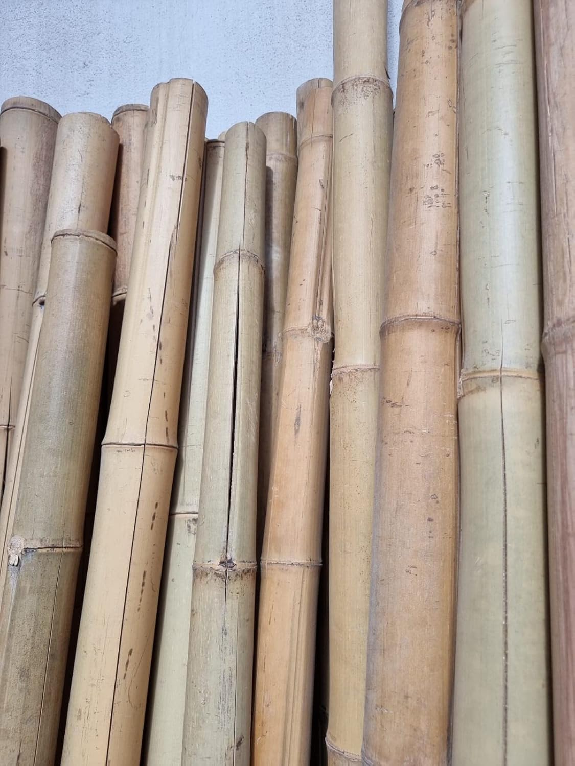 Canna di Bambù Gigante MOSO (CM 200 Ø 7/11) – TERZA SCELTA - CON FESSURE - Canne di Bamboo Naturale Decorativo per Arredo Casa, Giardino, Recinzione, Fai-da-Te e Design Outdoor Indoor