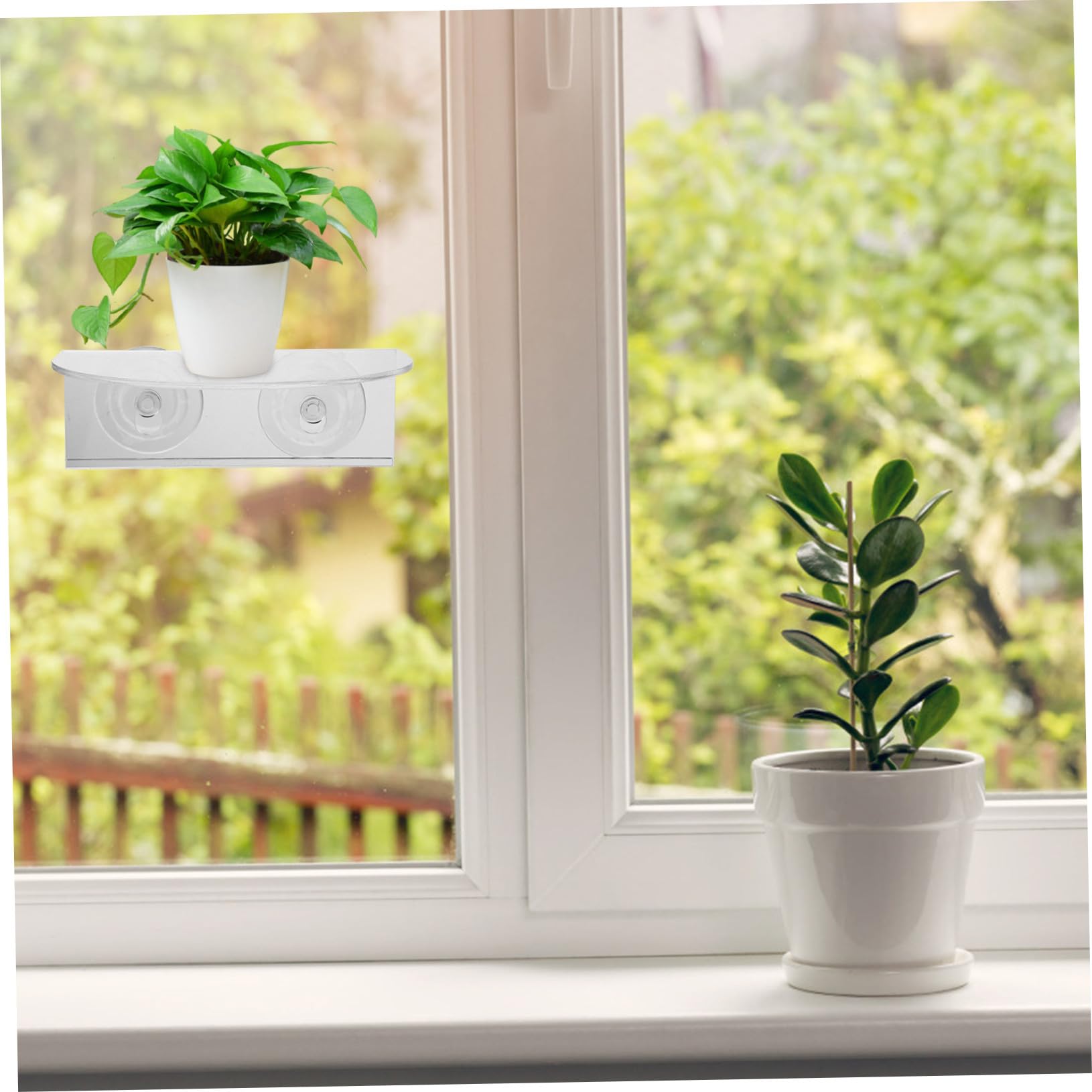 Outanaya Transparenter Acryl Wandregal mit Saugnapf für Gewürzflaschen und Kleine Pflanzen Vielseitiges Aufbewahrungsregal für Küche Wohnzimmer Büro Einfach zu Montieren und Langlebig