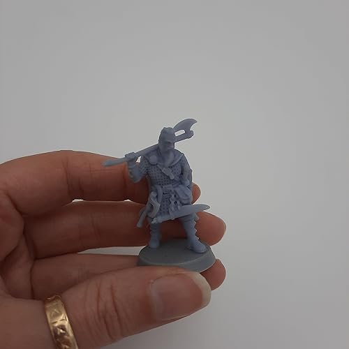 Miniatura 6 de Guerrero vikingo - RPG - Calabozos y Dragones - DND - Pathfinder - Destino de las norias - Figurita en miniatura (grissin pintar) (Bjorn)