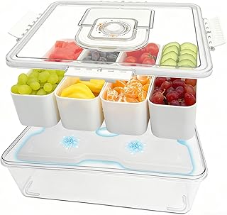 Snackle Box Container with Reusable Ice Pack, Snack Divided Serving Tray with Lid and Handle, 8 Compartment Snack Platter for Fruit Charcuterie, Snack Containers for Party Travel Picnic