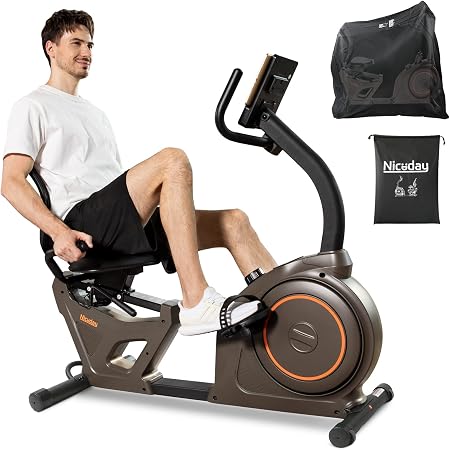 Niceday Recumbent Bike : Amazon.co.uk 