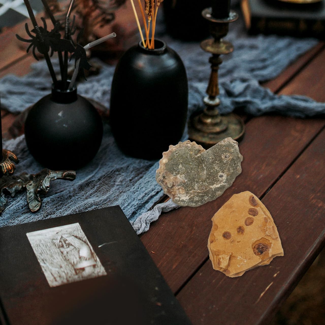 Baluue Juego de fósiles con 10 cajas de fósiles paleontológicos trilobita ámbar y piedra natural para coleccionistas de enseñanza científica y decoración