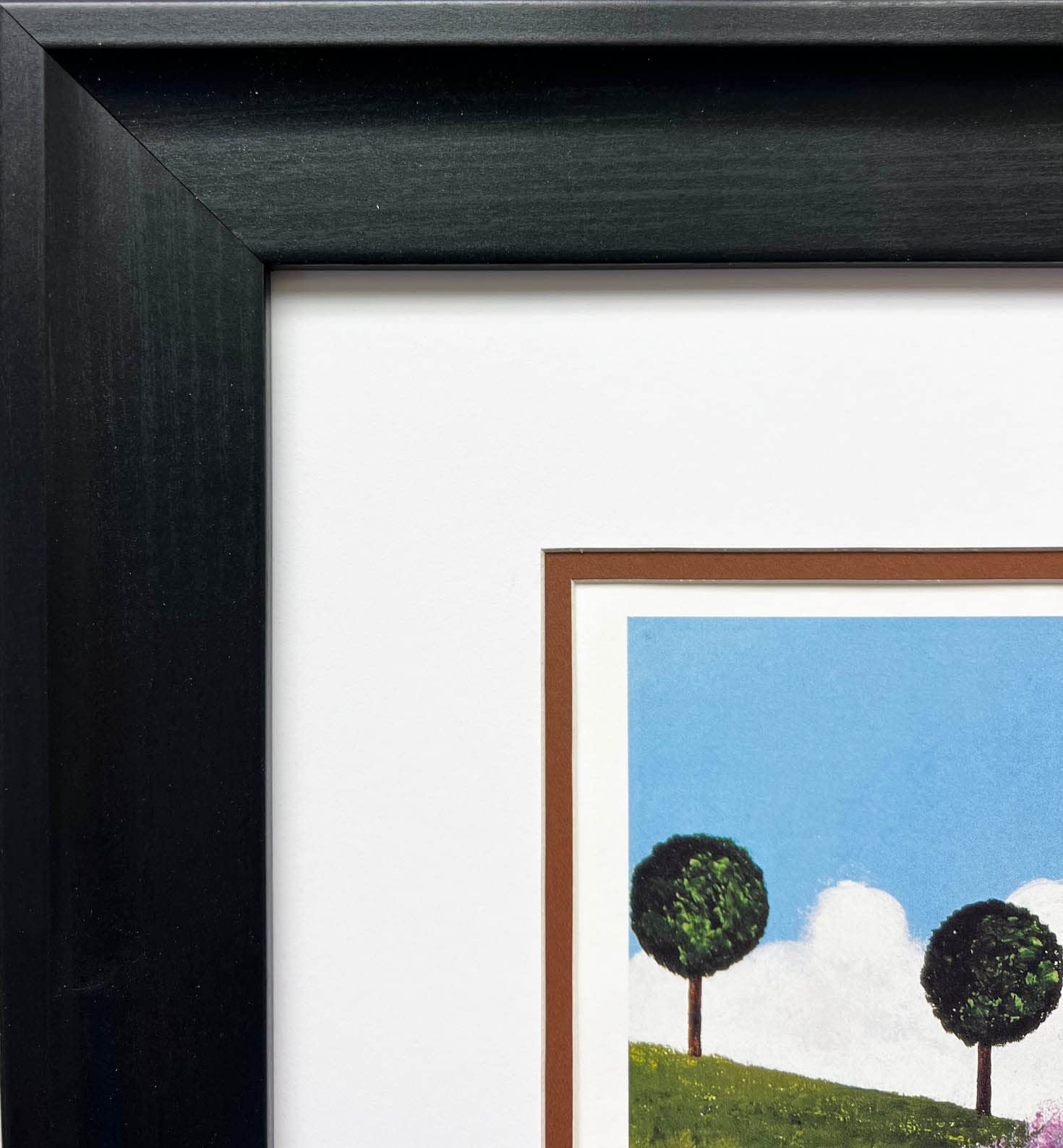 Amazon.com: Jane Wooster Scott Carefree Days CUSTOM FRAMED Litho