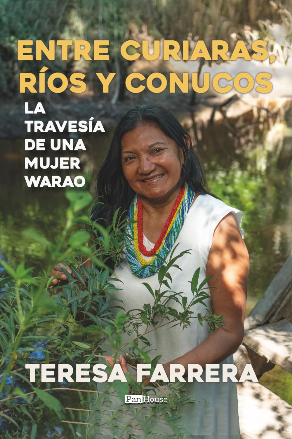 Entre curiaras, ríos y conucos: La travesía de una mujer warao
