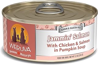 Classic Dog Food, Jammin' Salmon with Chicken & Salmon in Gravy, 5.5oz Can (Pack of 24)