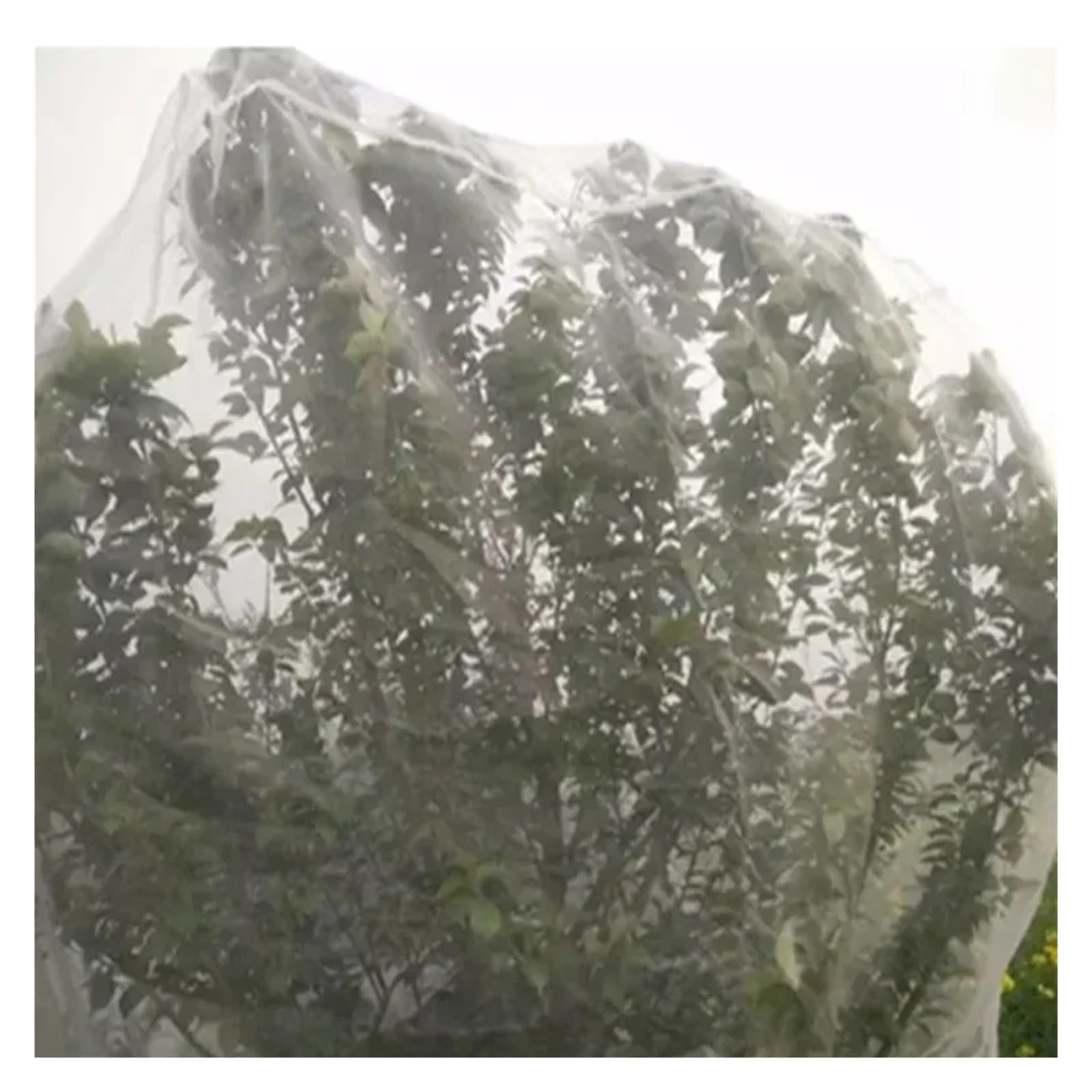 Baumnetze 0,9 mm Öffnung Mesh Net Schädlingsbekämpfung Net Obstgarten Bauernhof Insektennetz Anlage Gemüse Obst Abdeckung Polyethylen Garten(2x10m)