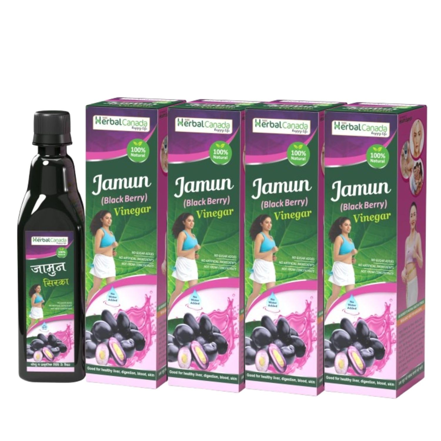 HARC HERBAL CANADA Ayurvedic Health Care (Jamun vinegar 500ml) Pack of 4