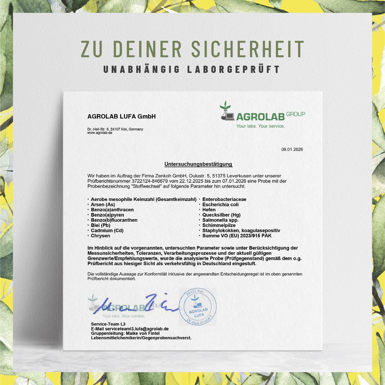 NATURTREU® Stoffwechsel Kapseln Diät Unterstützung - Hochdosiert mit Grünem Tee, Forskohlii, Cholin, Spargel, Bittermelone, Garcinia Cambogia & Chrom - 120 Stoffwechsel Kapseln vegan