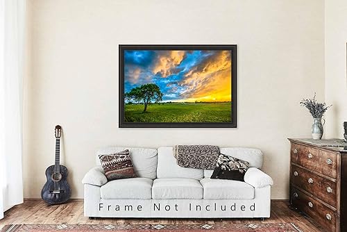 Miniatura 5 de Sky Photography Print (Not Framed) Picture of Colorful Storm Clouds Over Lone Tree at Sunset on Stormy Evening in Texas Country Wall Art Nature