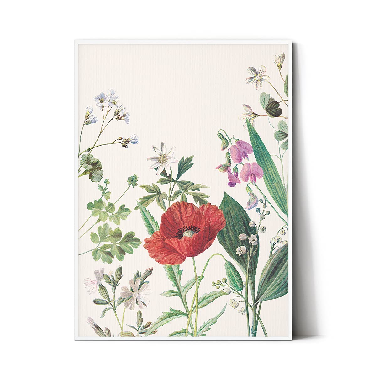 おしゃれポスターボタニカル✨ Amazon.co.jp: E.hina アートポスター 【ボタニカル01