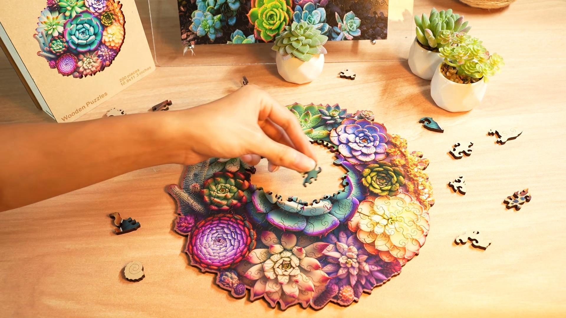 Amazon.com: Mys Aurora Wooden Jigsaw Puzzles - Mandala Succulent
