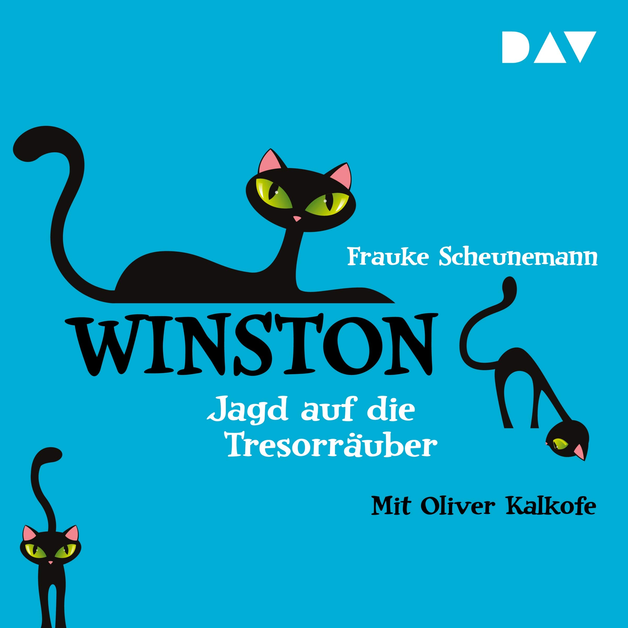 Cover art for Jagd auf die Tresorräuber
