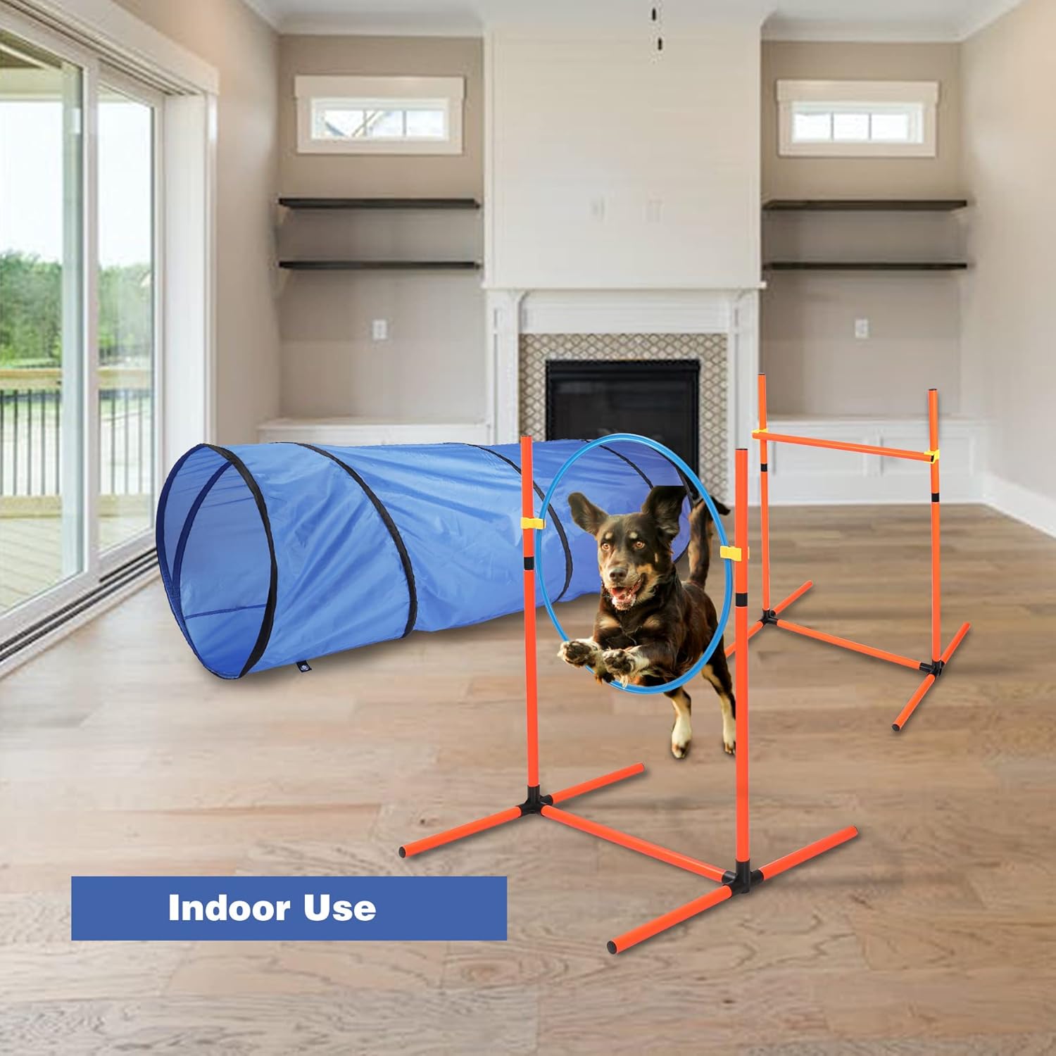 Buy Domaker Dog Agility Training Equipment, 5 PCS Adjustable Outdoor