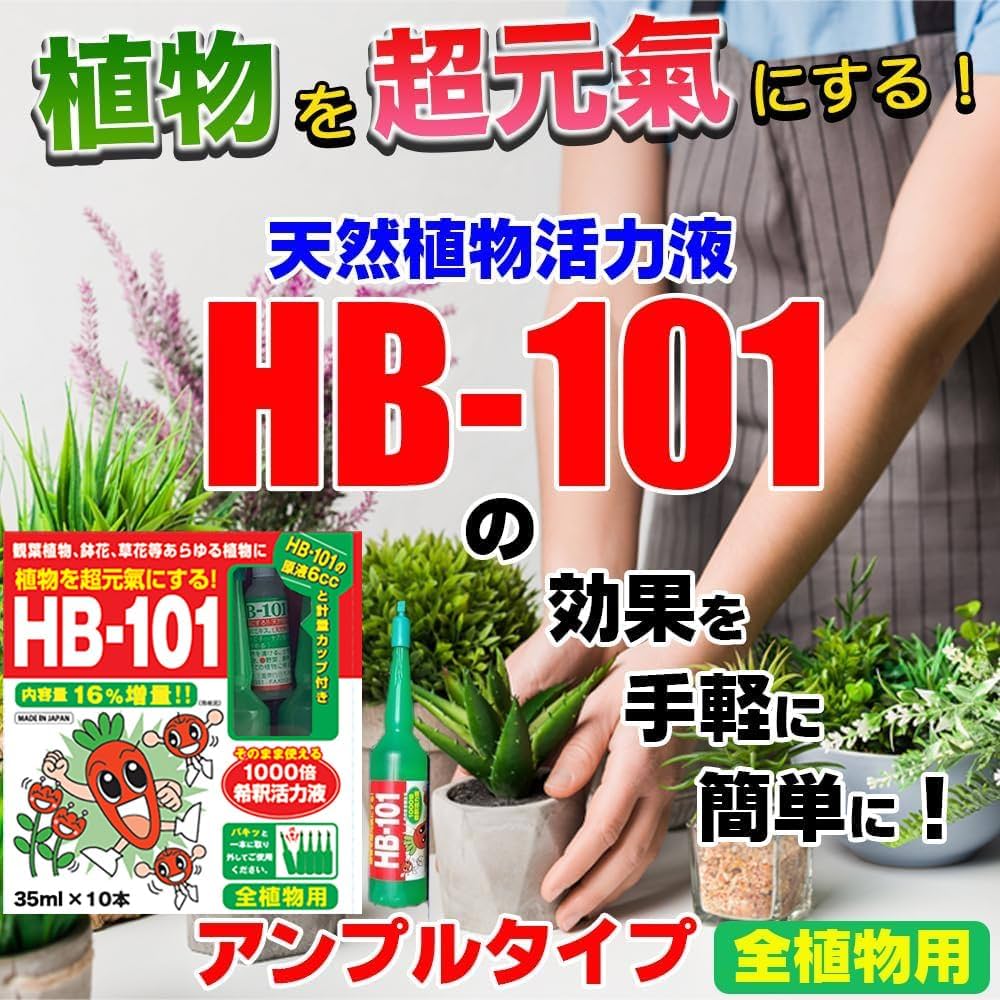 Amazon | フローラ(Flora) 植物活力剤 HB-101 緩効性 アンプル 増量 10 Amazon | フローラ(Flora) 植物活力剤 HB-101 緩効性 アンプル 増量 10