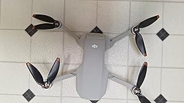 Review Image by Rita Lovette Rita Lovette