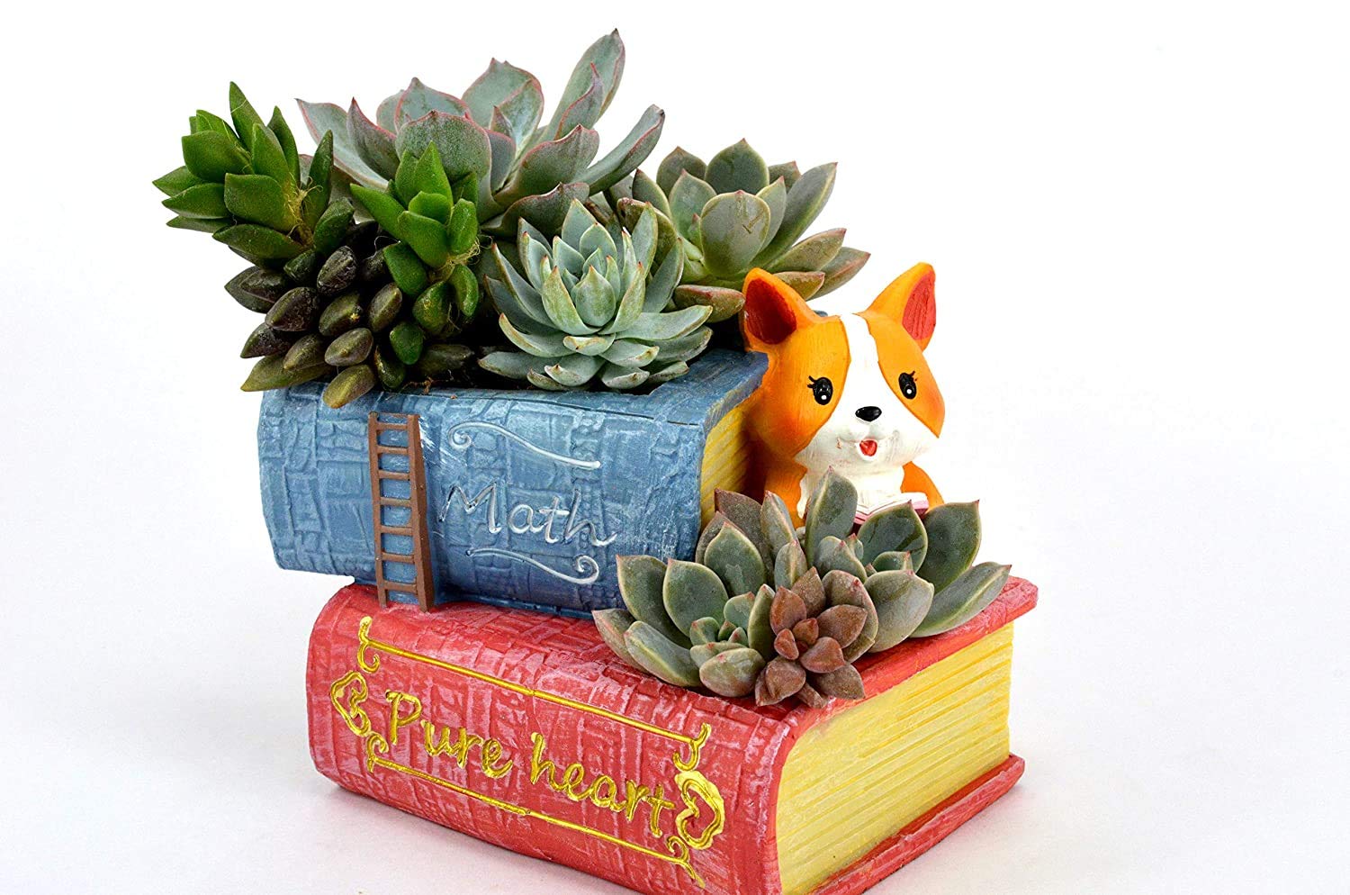 Brotherhood Enterprise Resin Pots Small Puppy with Books Design Cute & Trendy Perfect Cute Dog Reading Book Succulent Pot for Study Table Decoration Office Table Lovely Miniature in Cute Pot