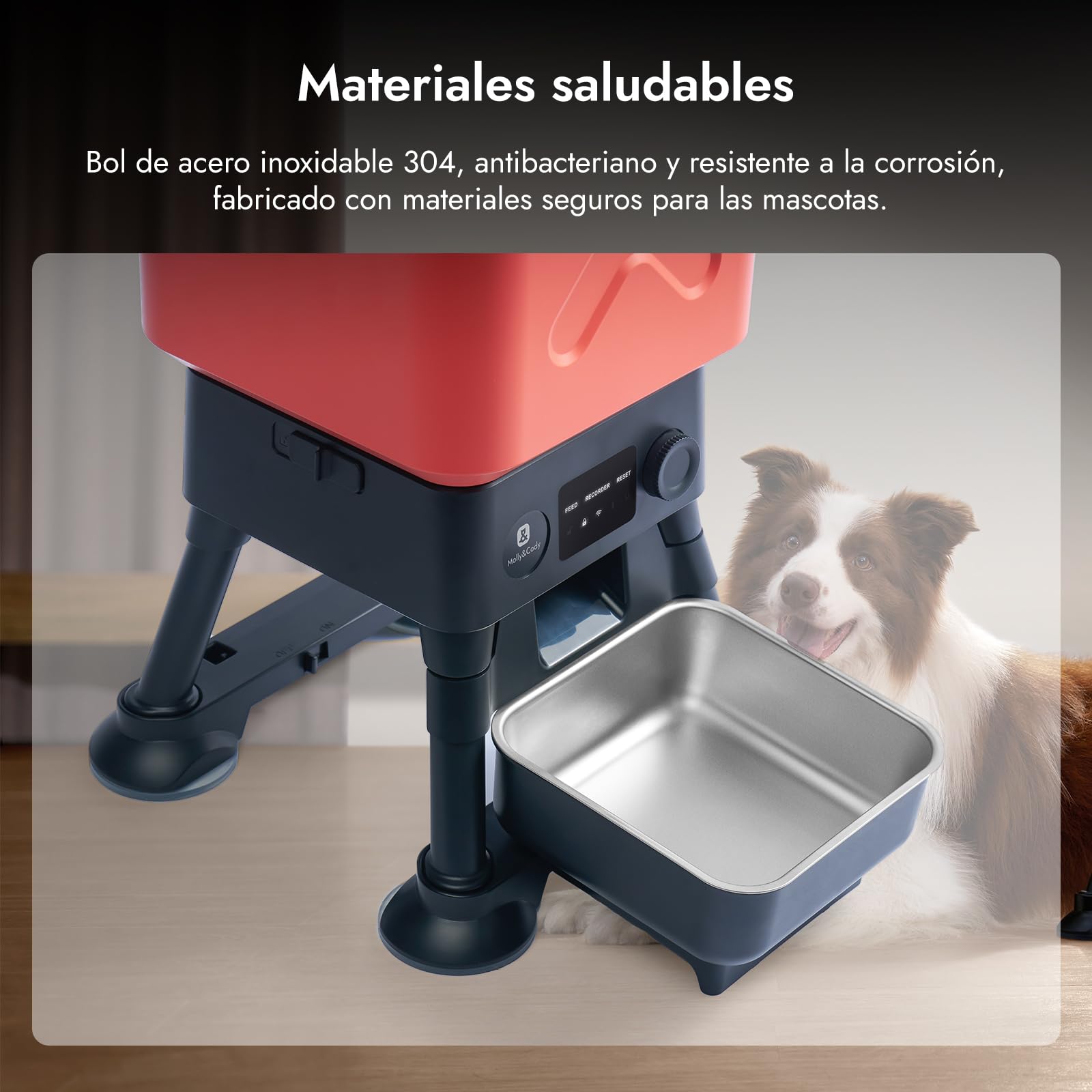 Molly&Cody Comedero Automático para Mascotas, 14 litros de Capacidad, Apto para Perros Grandes, Volumen de Alimentación Ajustable, Fácil Manejo, con Bol de Acero Inoxidable