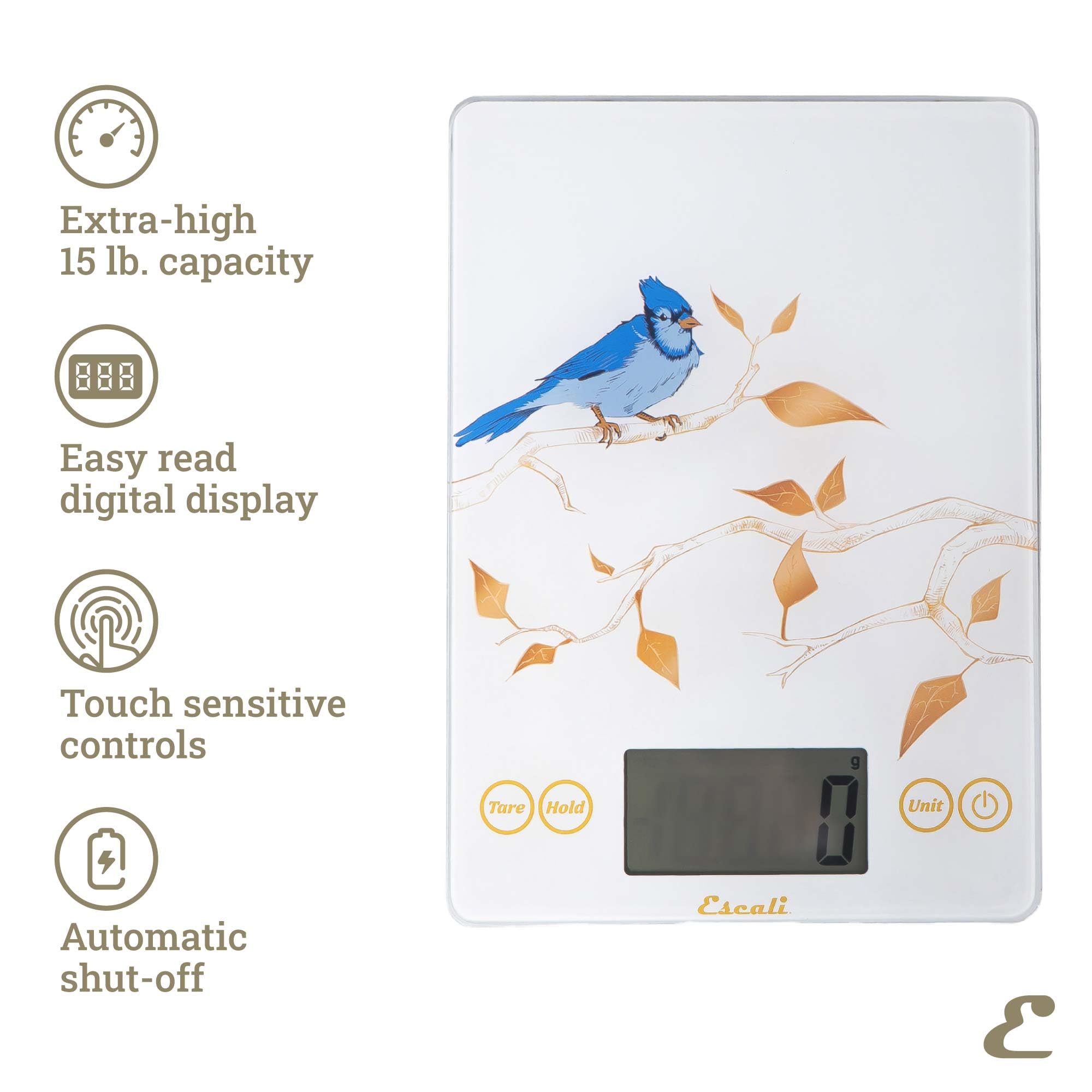 Escali Arti Blue Jay Küchenwaage aus Glas, digitale Küchenwaage, Back- und Kochwaage mit großem Display, 6,8 kg Kapazität, 22,9 x 16,5 x 1,9 cm, Weiß