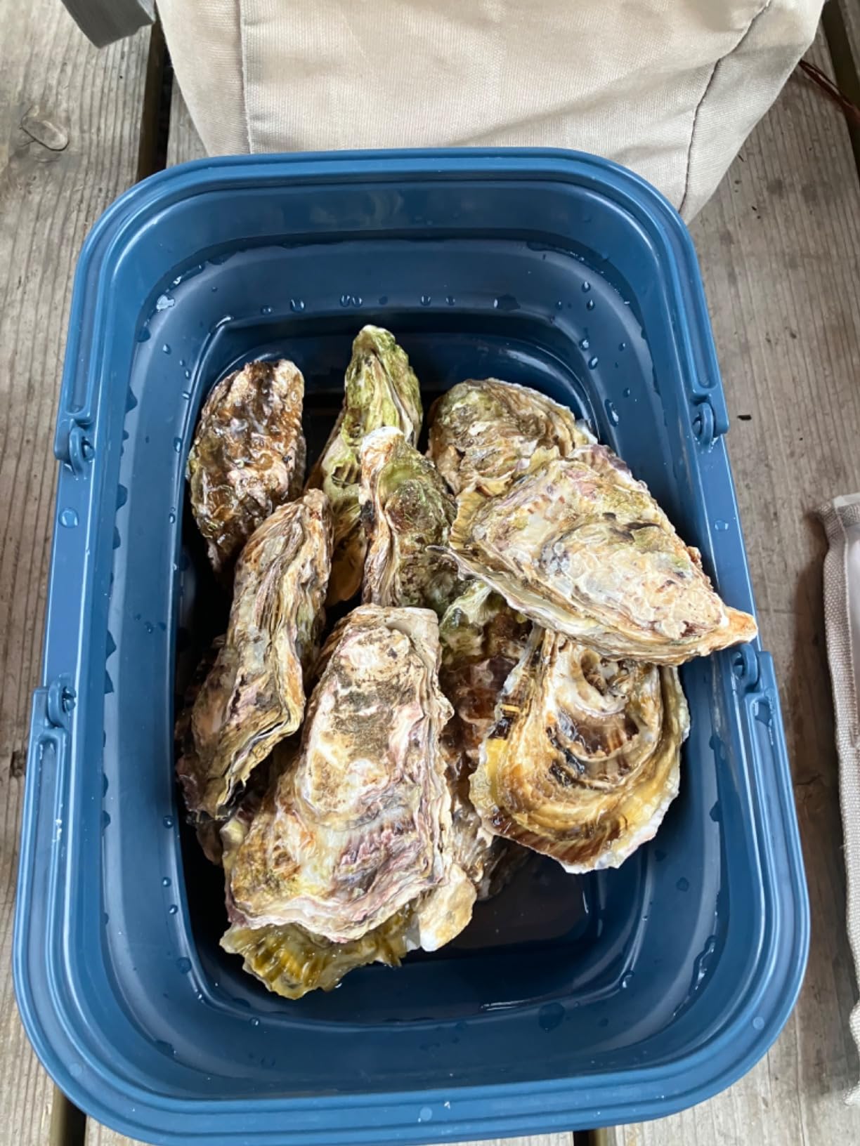 お客様イメージ