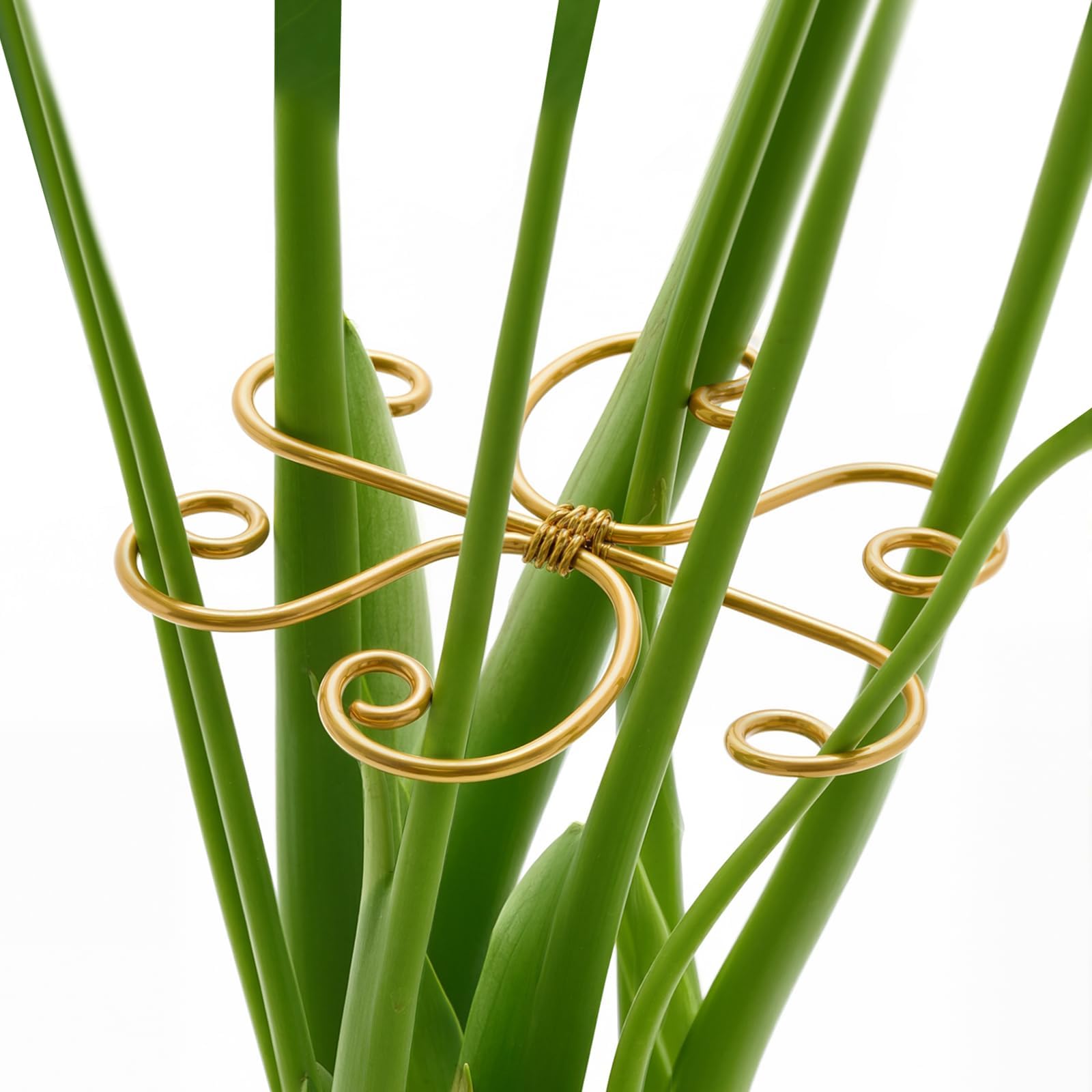 4PCS Iron Monstera Support, Uniquely Designed Plant Support Stakes for Indoor Plants, Stable Plant Stakes and Supports, Turtle Shell Bamboo Clamp Set for Thriving Growth