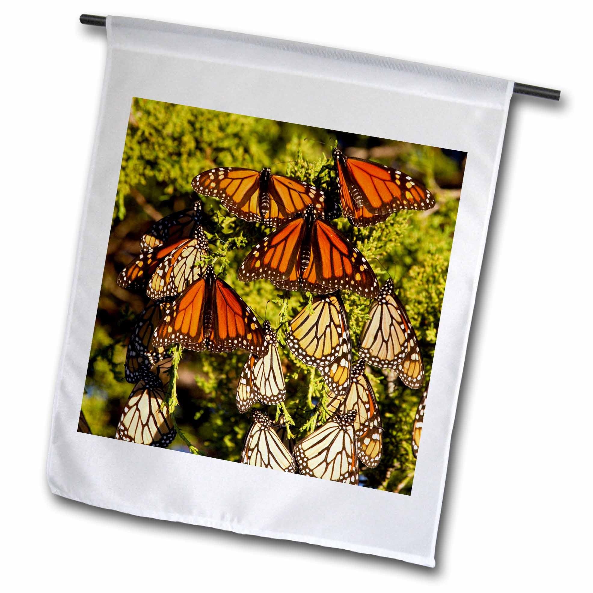3dRose Gartenflagge 'Monarch-Raupe' – 30,5 X 45,7 Cm, Polyester, Einseitig Bedruckt