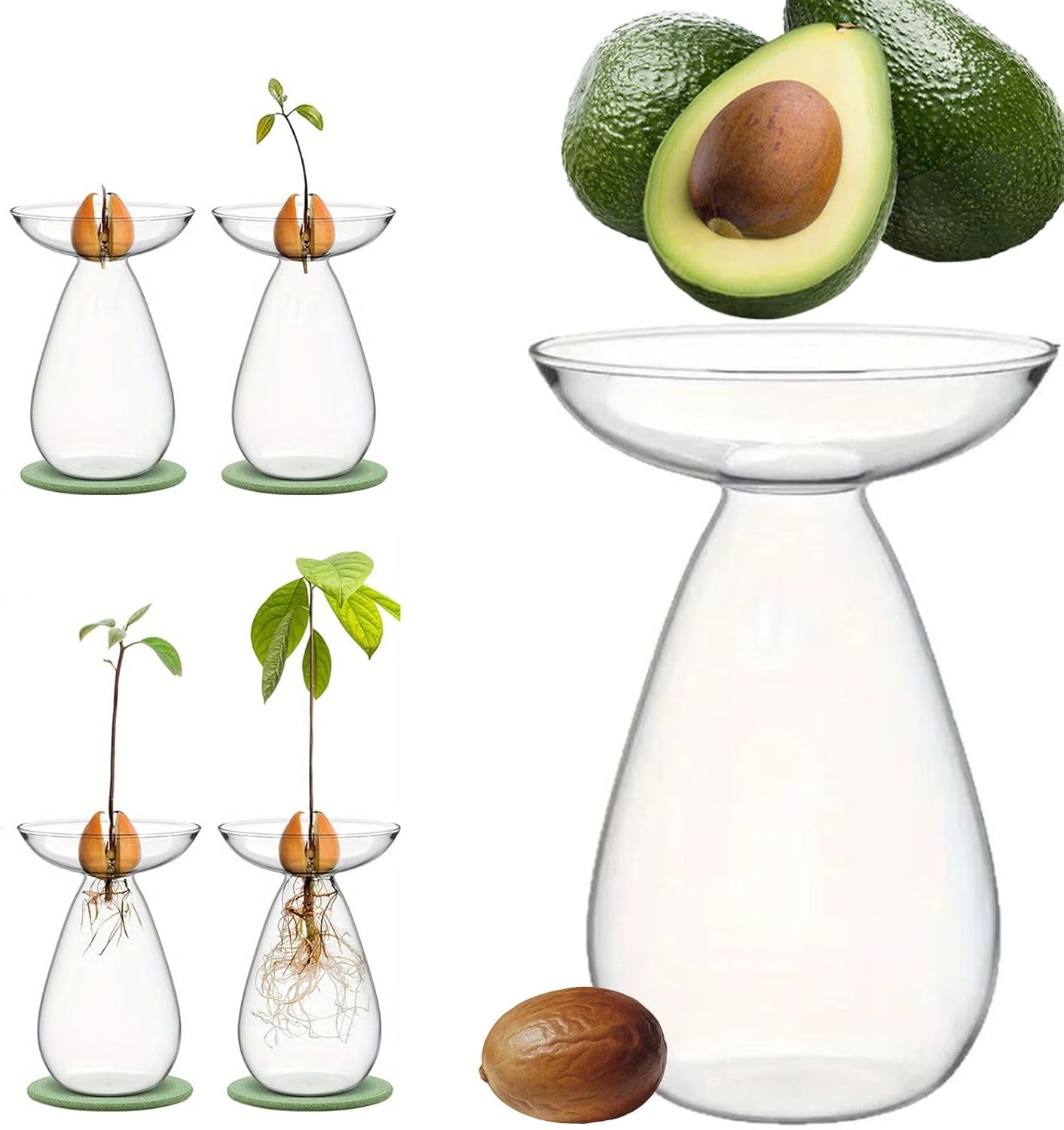 4Pcs Avocado Seed Starter Vase, Clear Glass Hydroponic Planter with Narrow Neck, Avocado Seed Sprouting Vase, Home Decor Gift for Gardening Lovers (No Seeds)