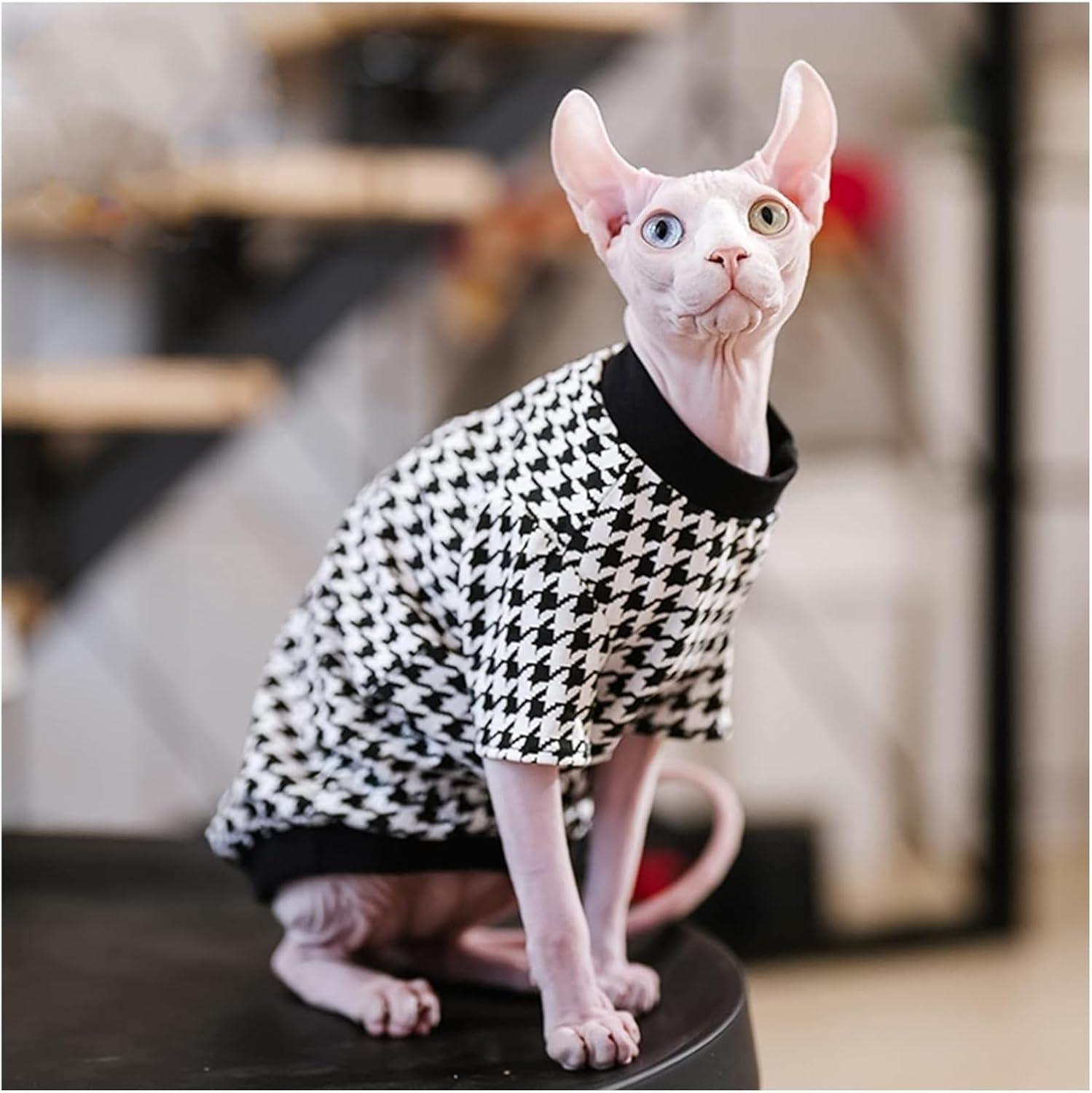 Hairless Cat Clothes, Sphynx Cat Clothes, Sphynx Hairless Cat Summer Cotton T-Shirts Cat Vest Pet Clothes,Round Collar Vest Kitten Shirts Sleeveless, Cats & Small Dogs Apparel(Houndstooth,XXL)