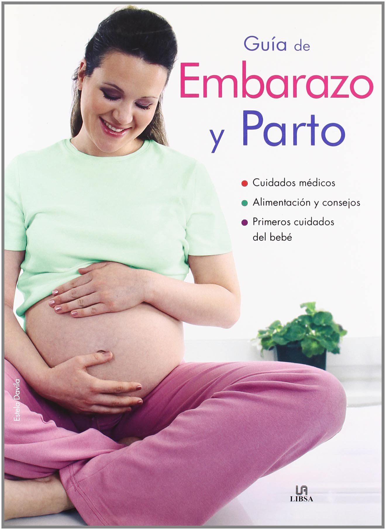 Guia de embarazo y parto/ Guide to Pregnancy and Childbirth