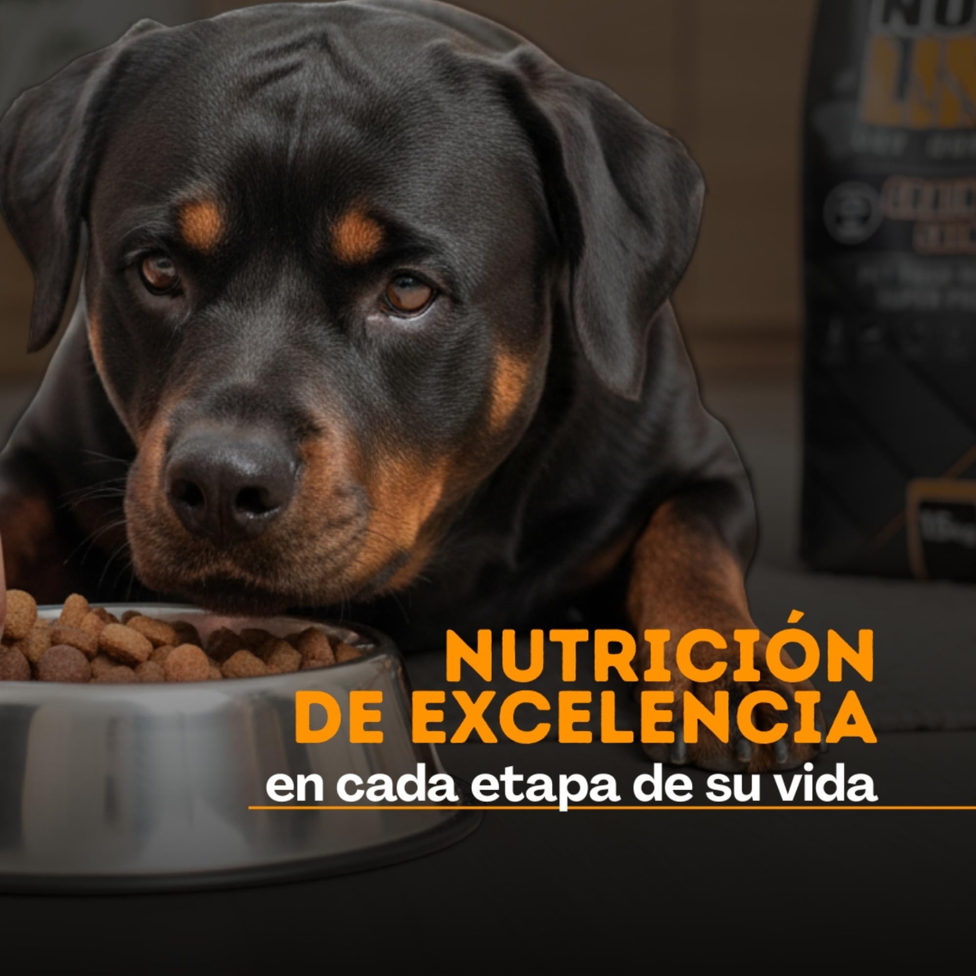 NO Limit Pienso para Perros 15kg sin Cereales Cordero y Pollo Grain Free – Comida Natural para Perros con digestiones sensibles – Dog Food Premium con Omega 3 y Soporte Articular