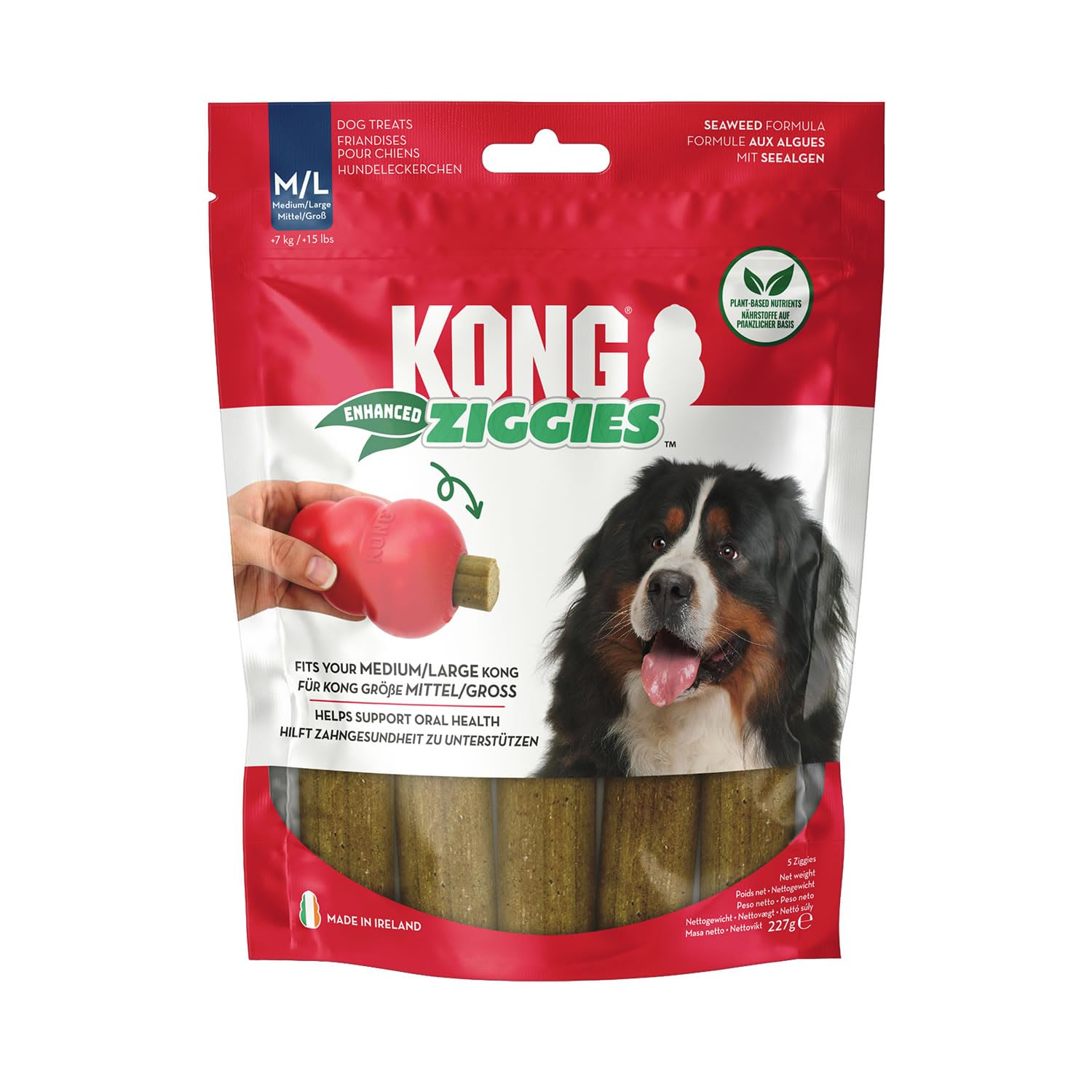 KONG Ziggies Enhanced Chews Medium/Large For Dogs Supports Oral Health
