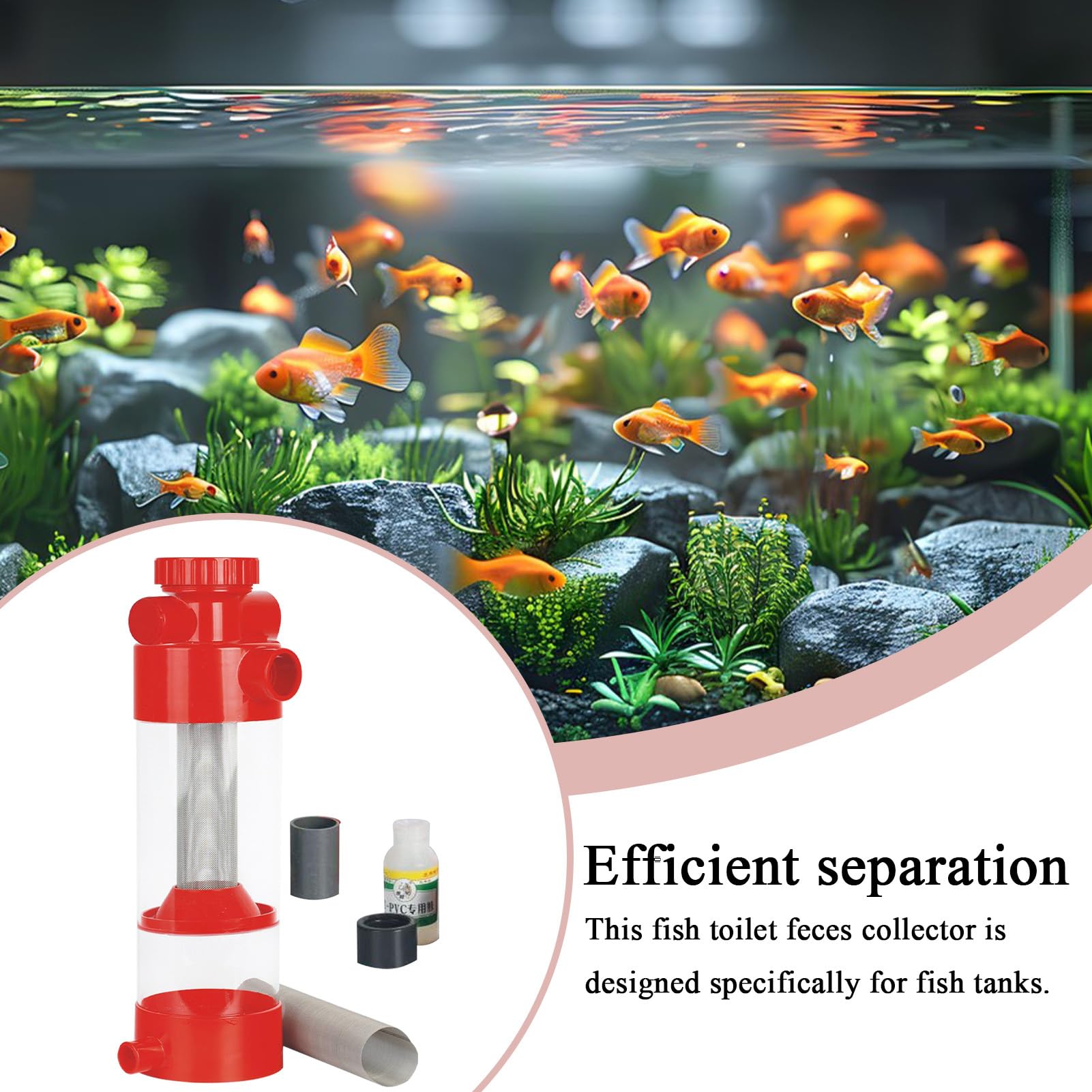 Recolector De Excrementos De Pescado Separador Filtro de Excrementos para | Equipo de Limpieza, Separador Externo para Peceras y Acuarios