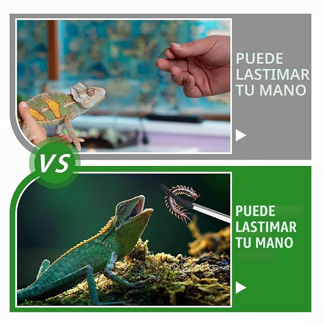 Foto 3 de 7 de Pinzas de alimentación, juego de 2 pinzas de acuario de 27 cm, pinzas largas curvadas para terrario
