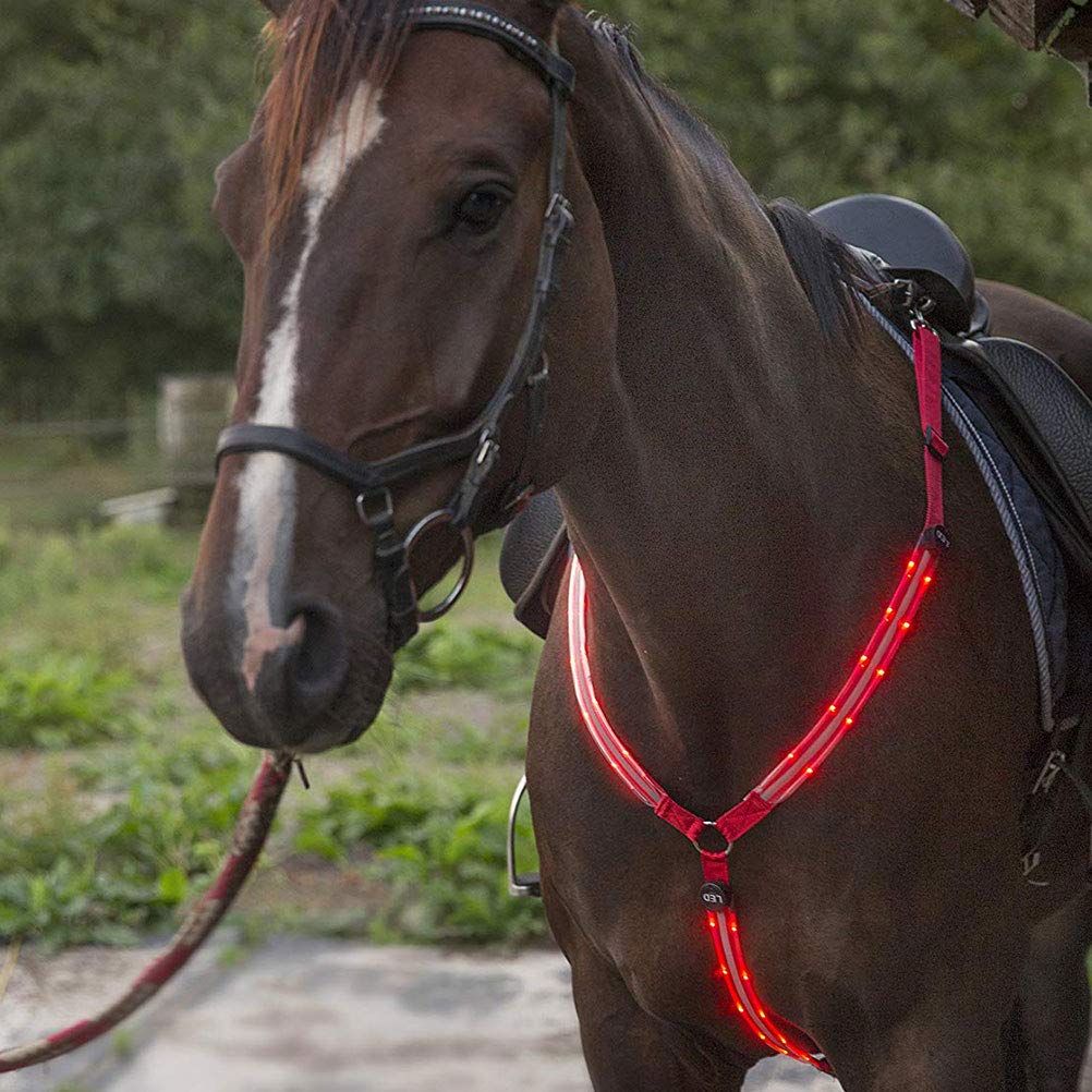 Arnés de caballo LED con placa de pecho para caballo, con correa de pecho para equipo de seguridad ajustable