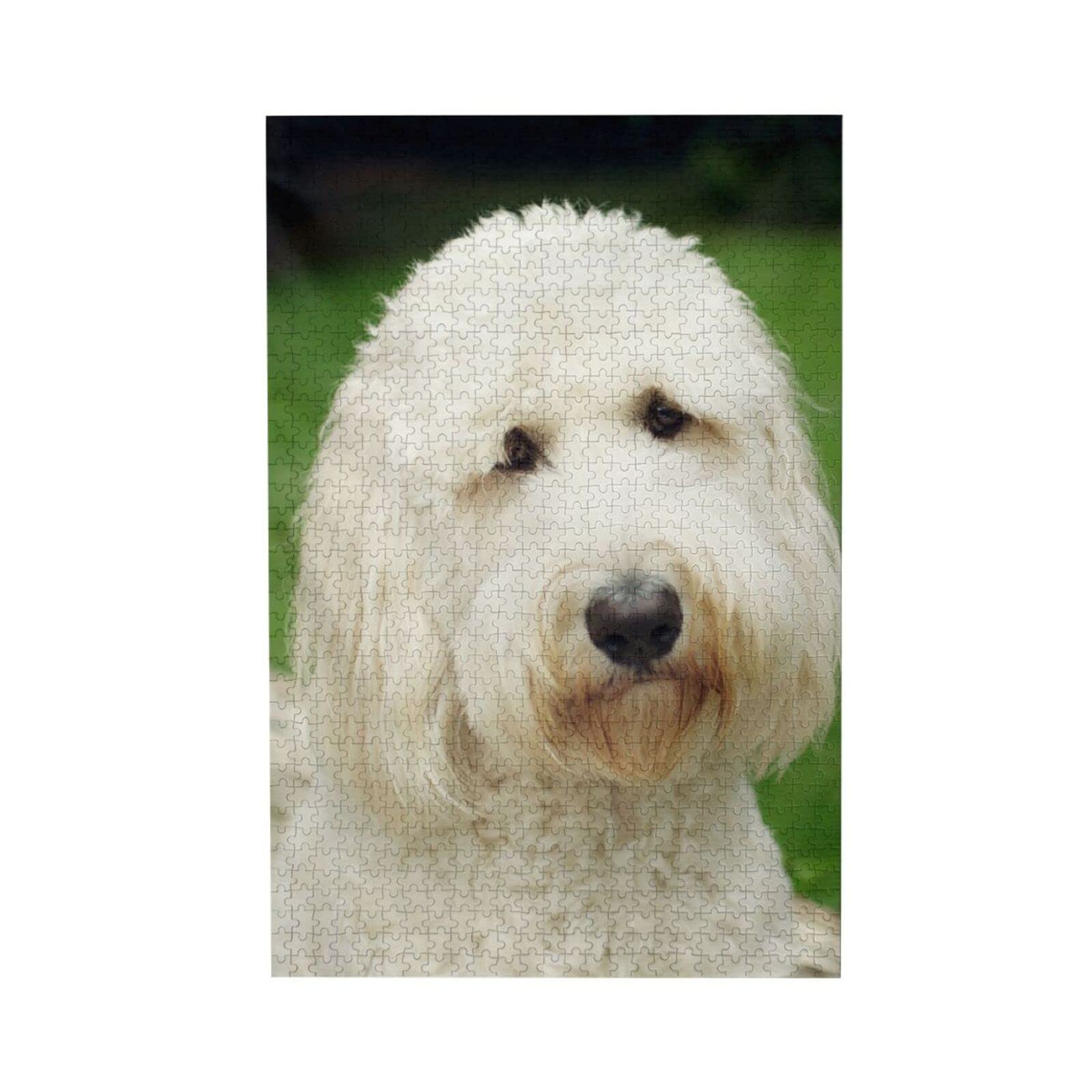 WZVZGZ Goldendoodle Jigsaw Puzzles 1000 Pieces for Adults - Puzzles for Adults and Children Home Decoration, 1000 pcs