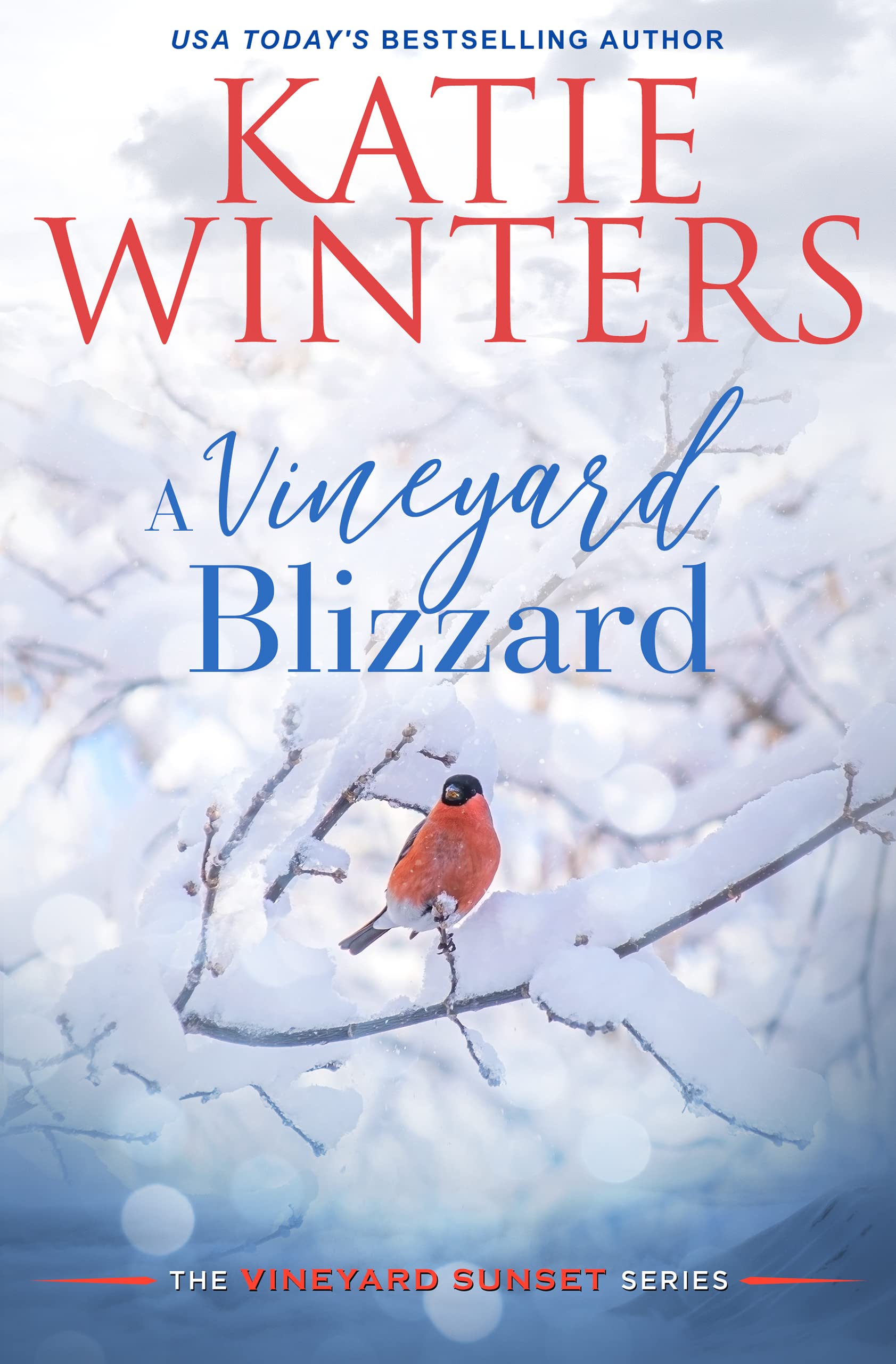 A Vineyard Blizzard (The Vineyard Sunset Series Book 12)