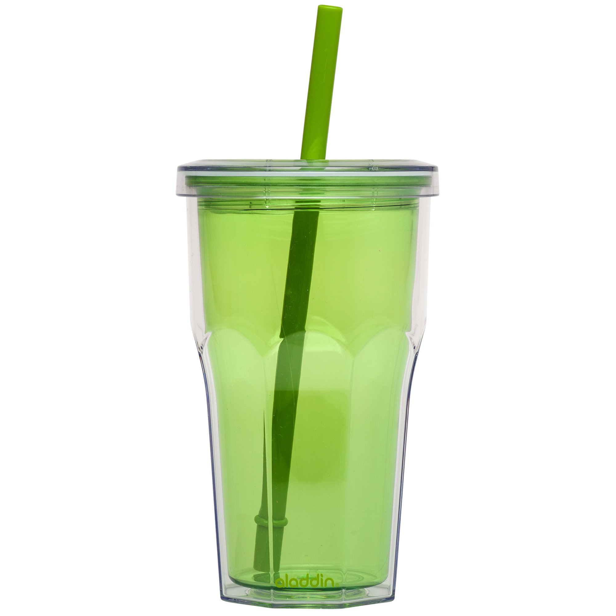 Aladdin Insulated Cold To Go Tumbler 16oz Fern | Desertcart Aruba