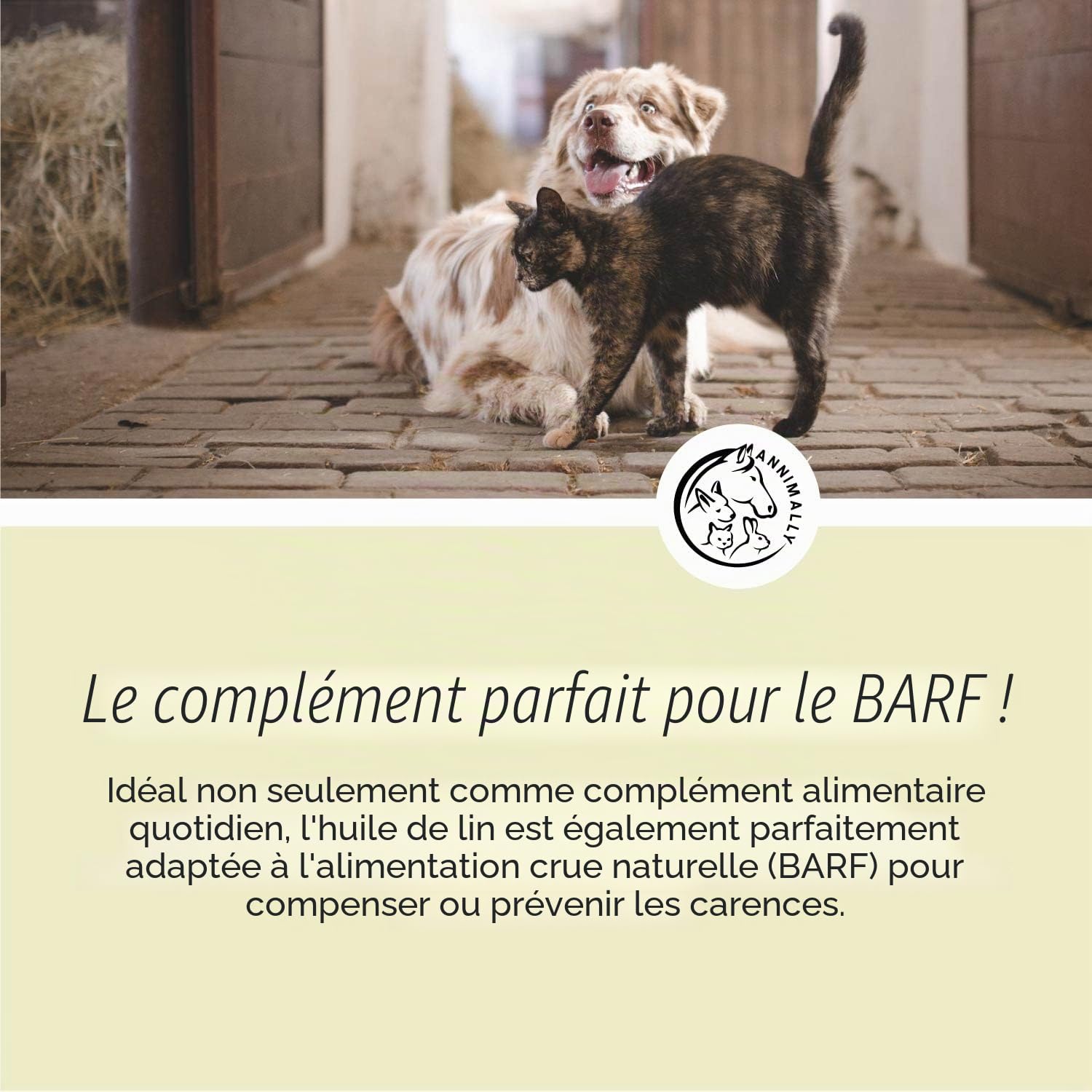 Huile de Lin pour Chiens 500 ML - Huile Chien de graines de Lin pressée à Froid, Riche en acides Gras Omega 3 pour Chien & 6 et en Vitamine B