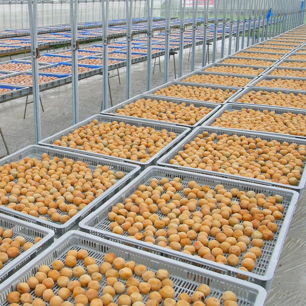 Amazon | ふみこ農園 お徳用 しそ漬梅 1kg 昔ながらのすっぱい梅干