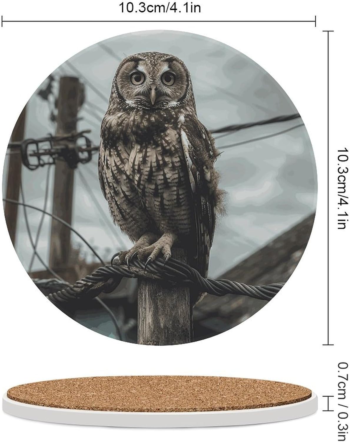 Owl on Telephone Pole Coasters Round Coasters Set Ceramic Stone Coaster with Cork Base Coffee Cup Beverage Cup Mat Cute Funny Table Drinks Coaster for Mugs and Cups Office Kitchen
