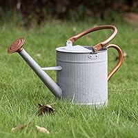 HORTICAN 1 Gallon Galvanized Metal Watering Can with Removable Spout - Farmhouse Style for Indoor Outdoor Plants