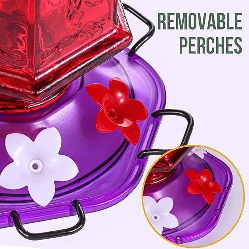 Miniatura 5 de Billion Sky Comedero para colibríes, botella en forma de linterna, 6 puertos de alimentación de flores de simulación, 26 onzas líquidas, comederos