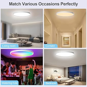Ceiling Light LED Dimmable Flush Mount Flat RGB Smart Alexa Google Home WiFi with Remote Control for Living Room Bedroom Dinning Kitchen Hallway Bathroom 12Inch 24W White [Energy Class A]