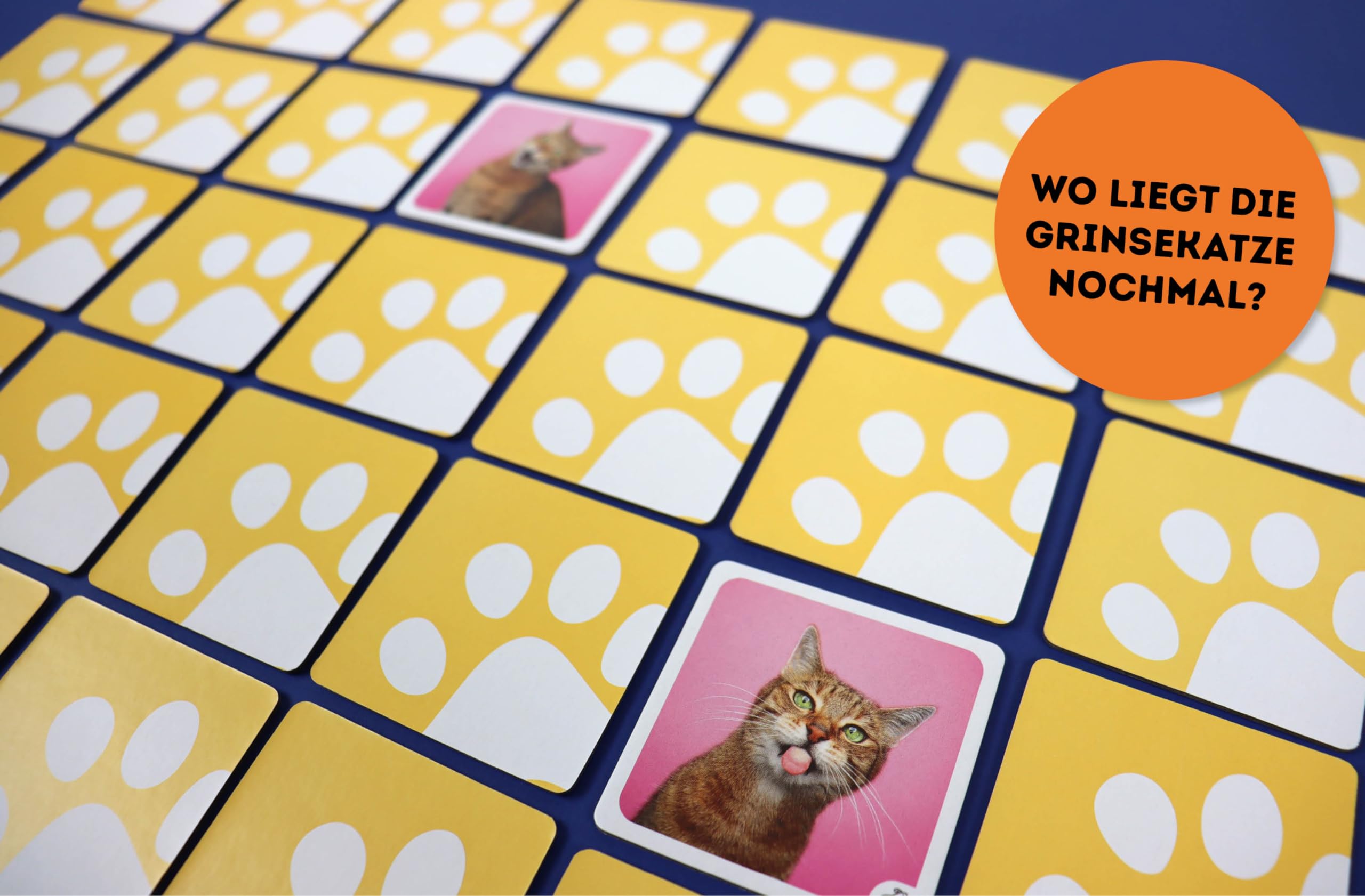 Memo-Spiel: Crazy cats!: Mit 60 lustigen Katzen-Motiven von süß bis grumpy für Katzenfans von 6-99 Jahren